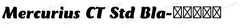 Mercurius CT Std Bla字体转换